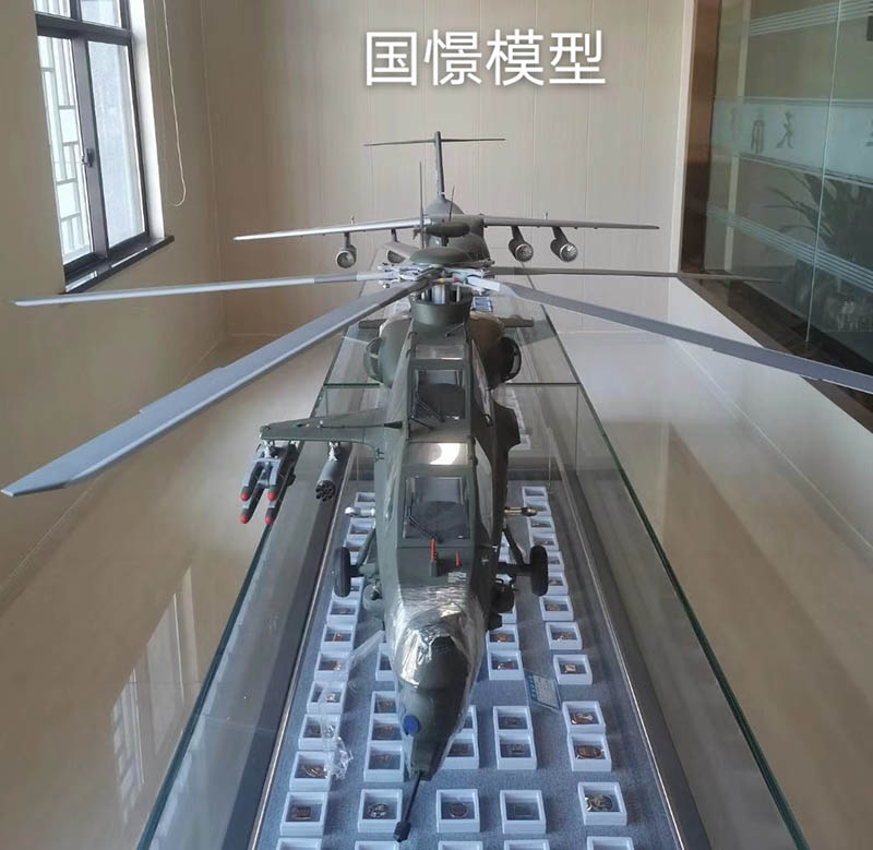 富民县飞机模型