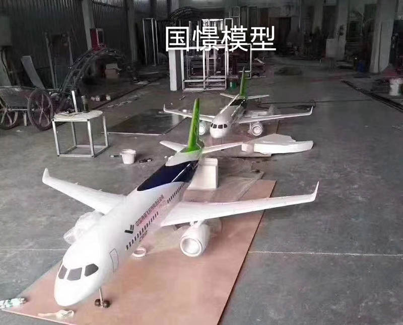 富民县飞机模型